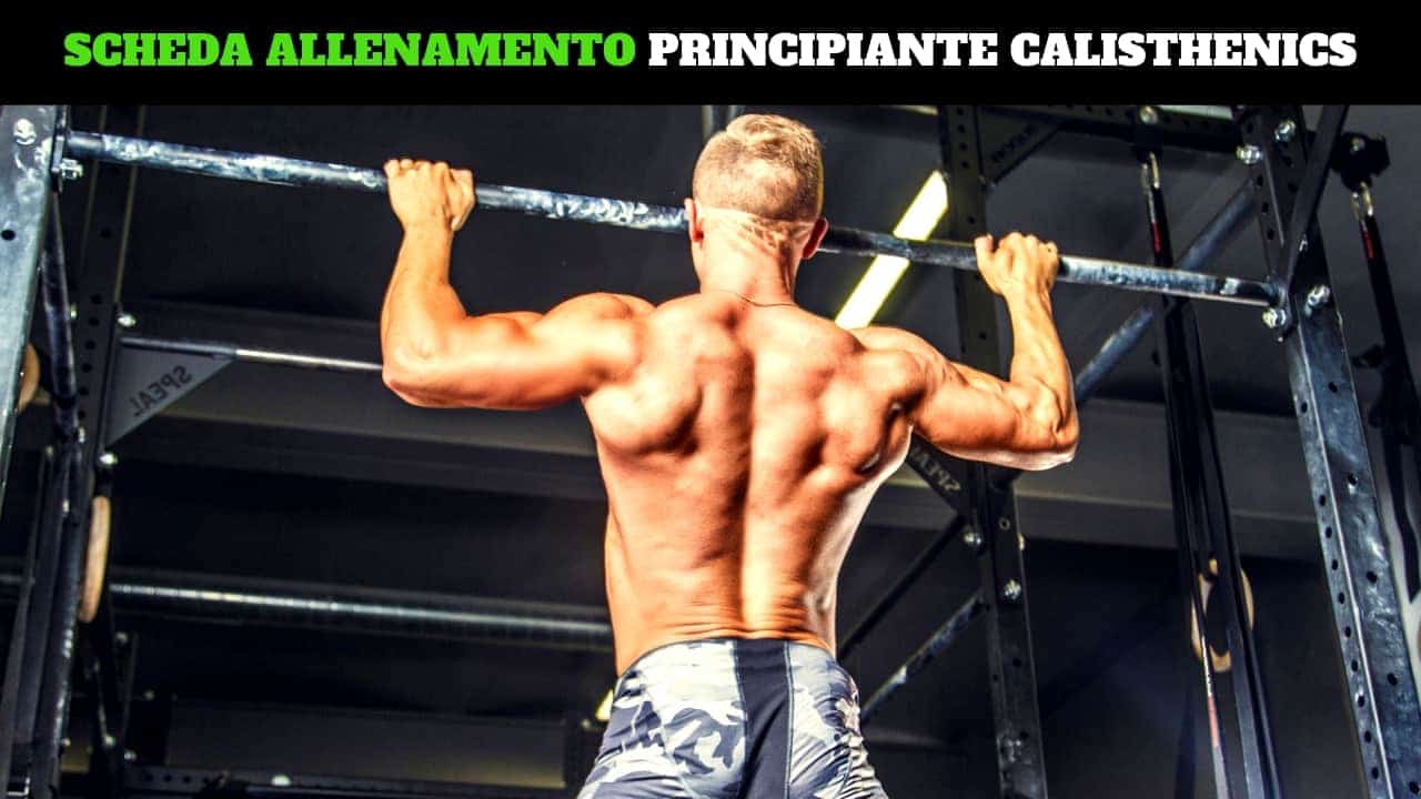 Scheda allenamento principiante calisthenics