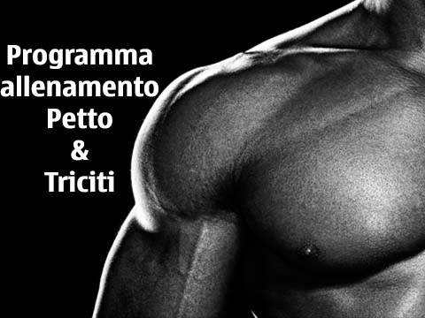 Calisthenics programma allenamento petto e tricipiti