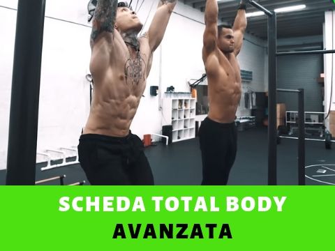 Scheda full body