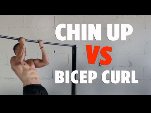 Chin up VS Curl bicipiti: qual è il migliore esercizio?