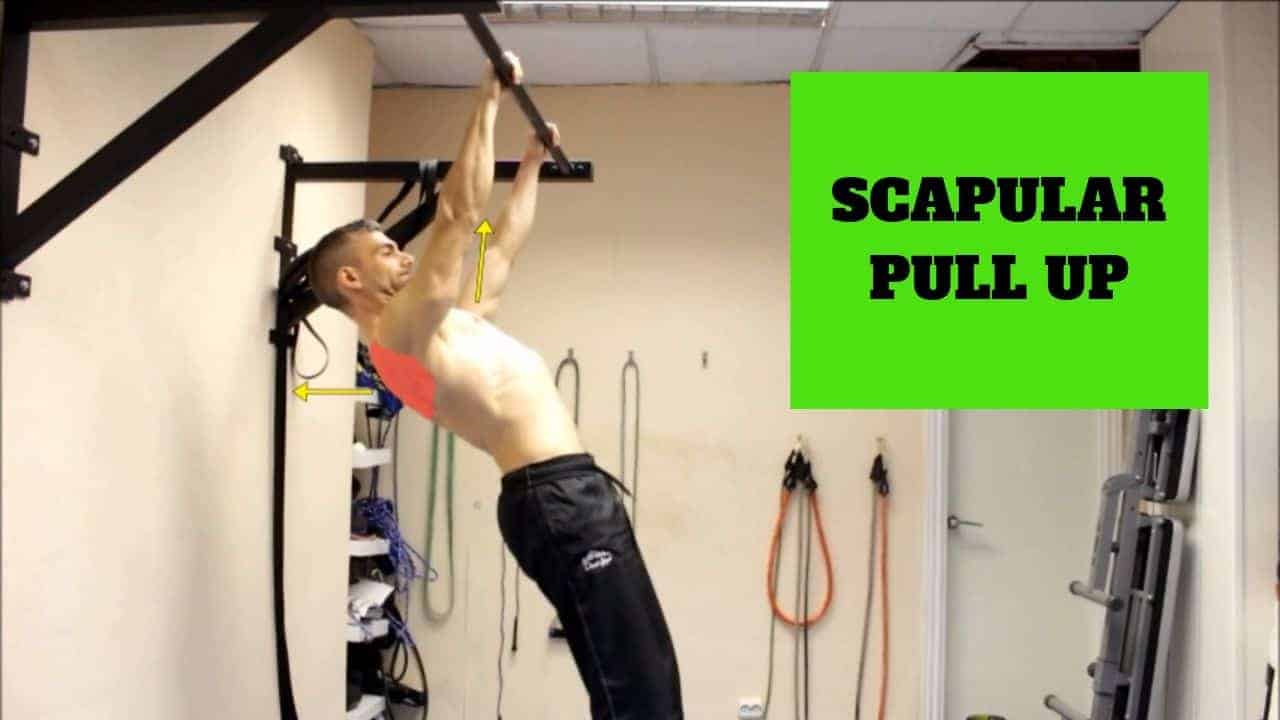 Scapular pull up