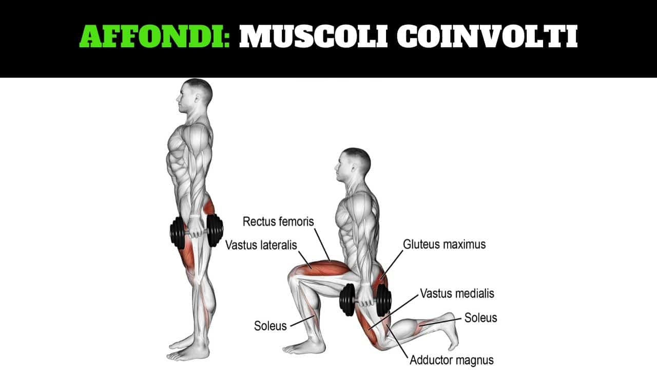 Affondi muscoli coinvolti