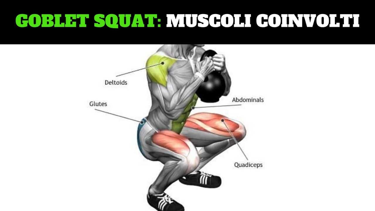 Goblet squat e muscoli coinvolti