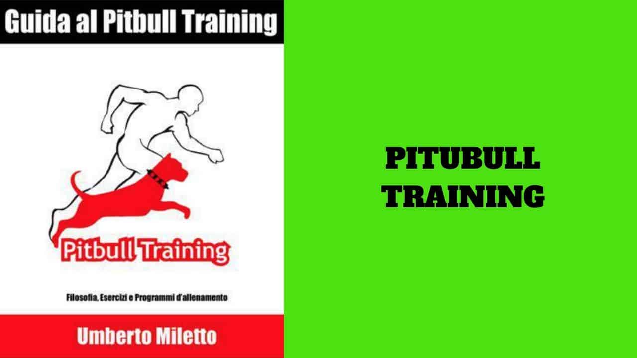 Pitbull Training: il metodo di allenamento estremo