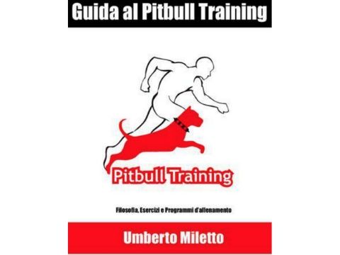 Pitbull training